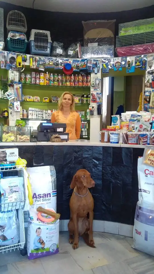 Prodejna Zverivet Kroměříž - interiér